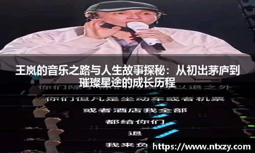 王岚的音乐之路与人生故事探秘：从初出茅庐到璀璨星途的成长历程
