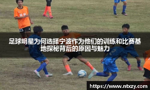 新莆京wns8888网址